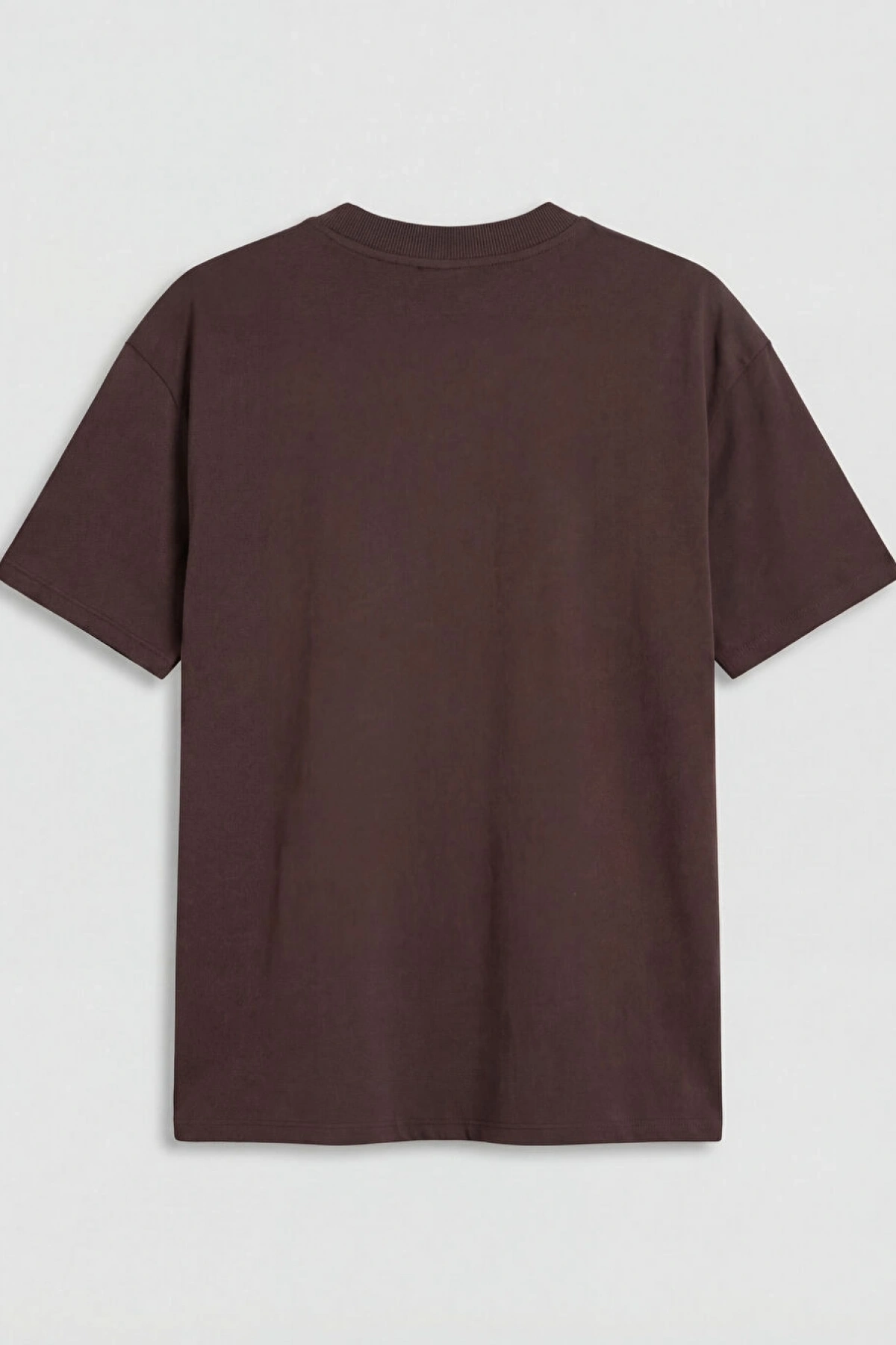 LCW Modest Kahverengi Bisiklet Yaka New York Baskılı Kadın Tişört