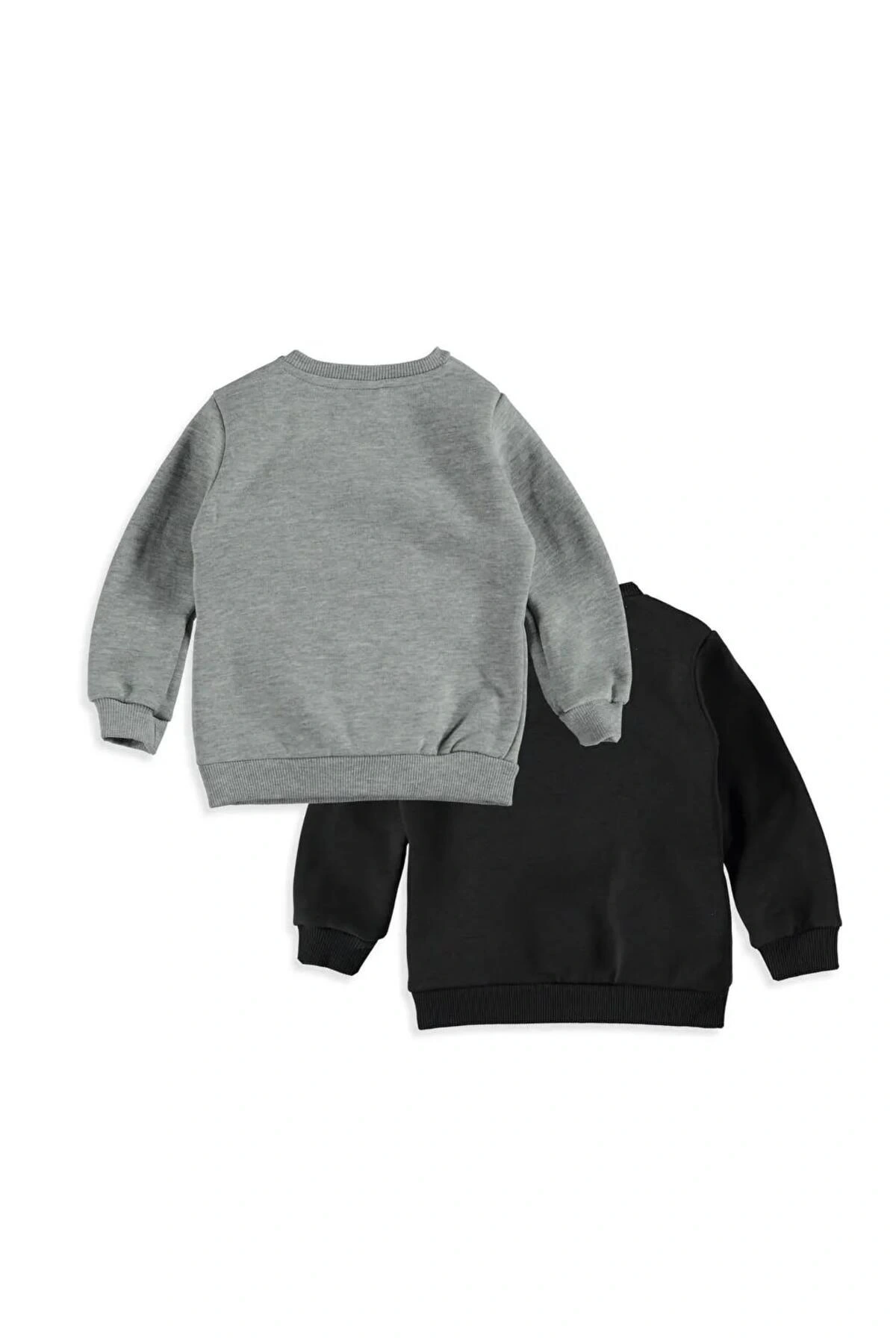 LCW baby Gri Erkek Bebek Baskılı Sweatshirt 2li