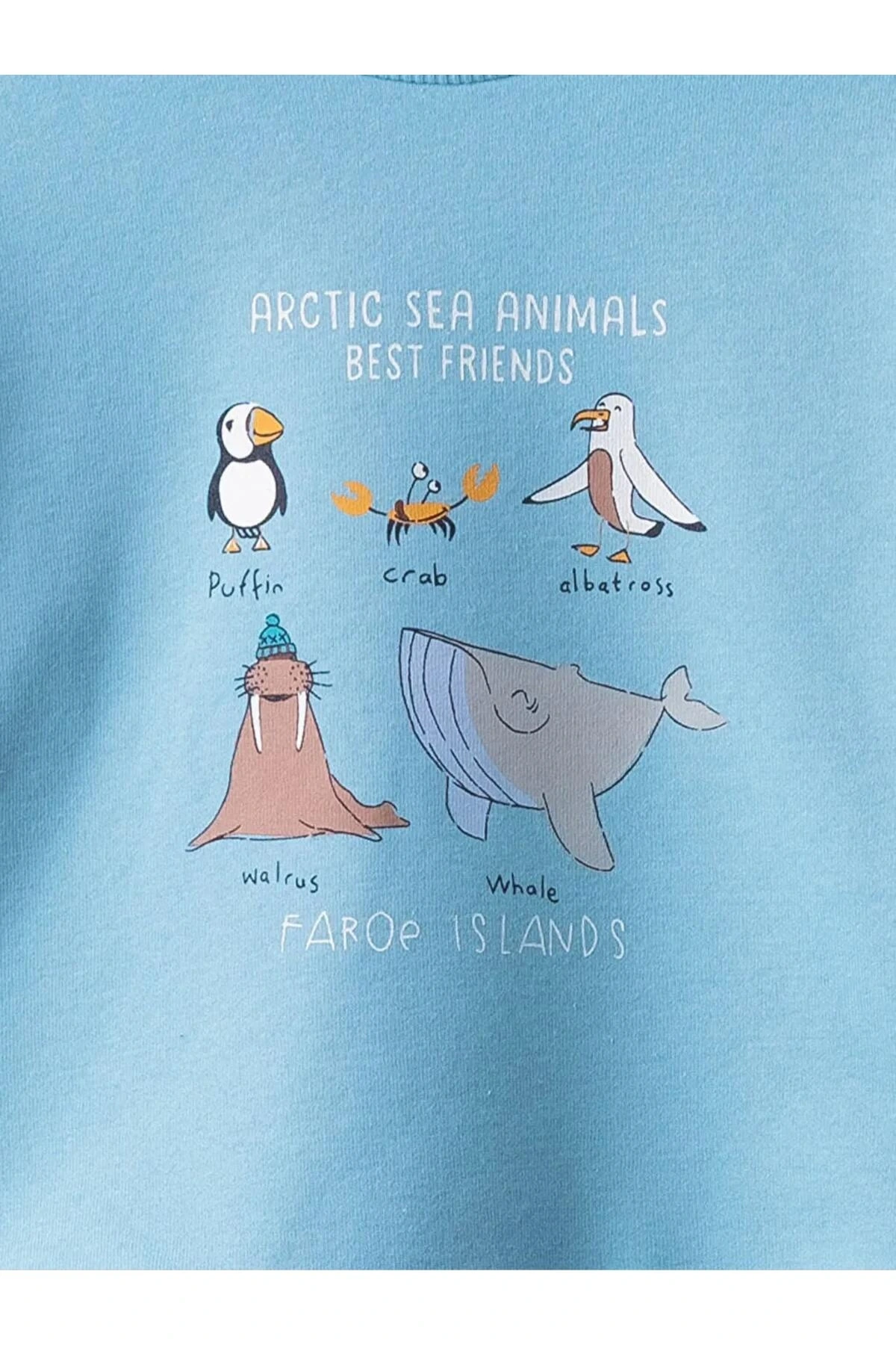 LCW baby Mavi Bisiklet Yaka Uzun Kollu Baskılı Erkek Bebek Sweatshirt