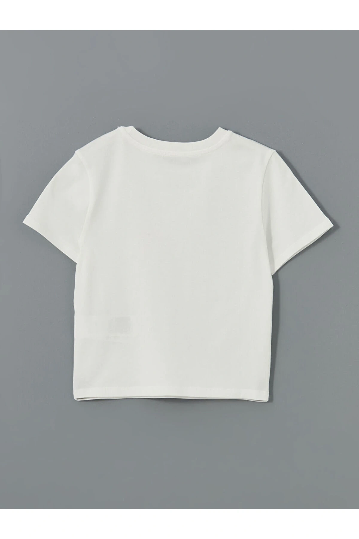 LCW Bisiklet Yaka Baskılı Kadın Tişört