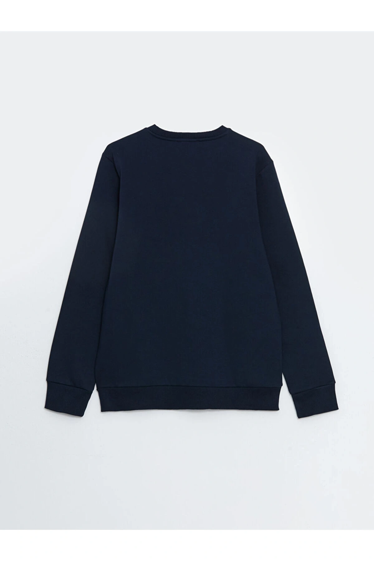 LCW Bisiklet Yaka Uzun Kollu Baskılı Erkek Kalın Sweatshirt