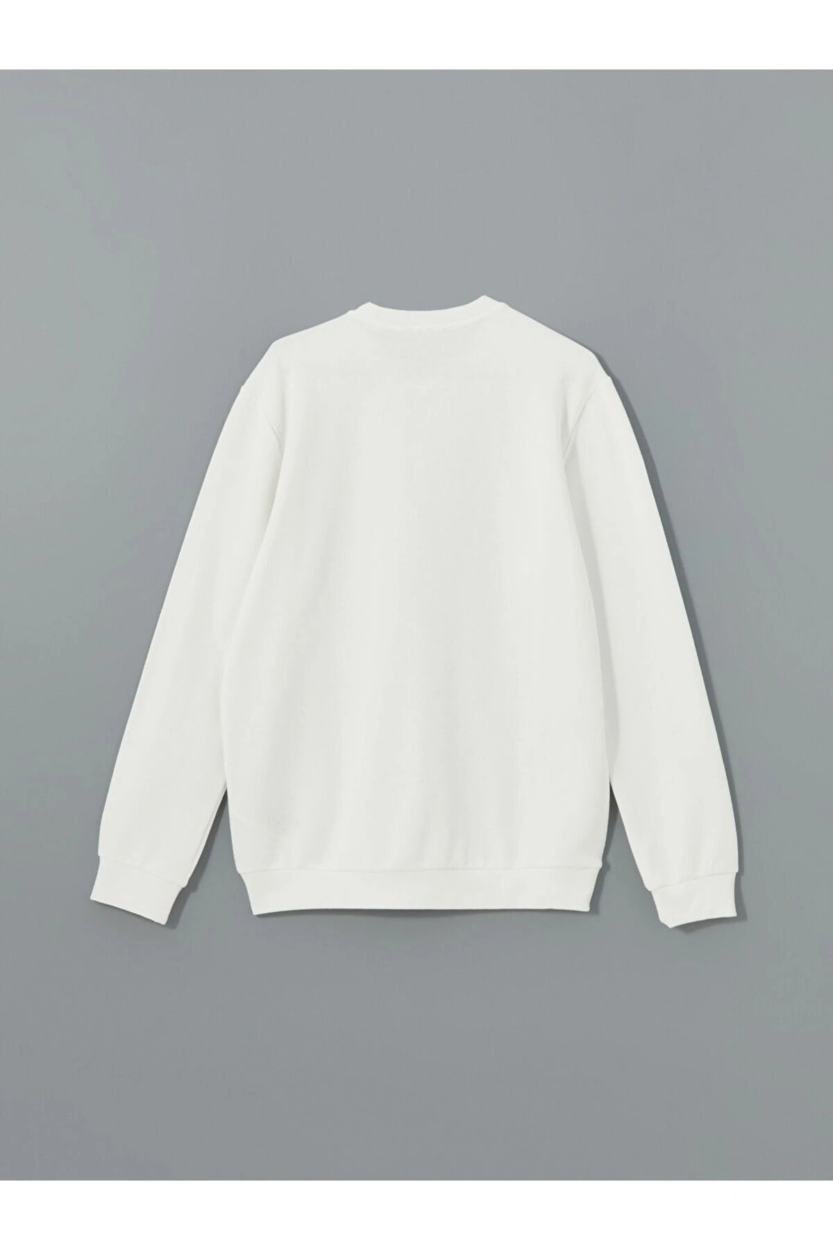 LCW Bisiklet Yaka Uzun Kollu Baskılı Erkek Kalın Sweatshirt