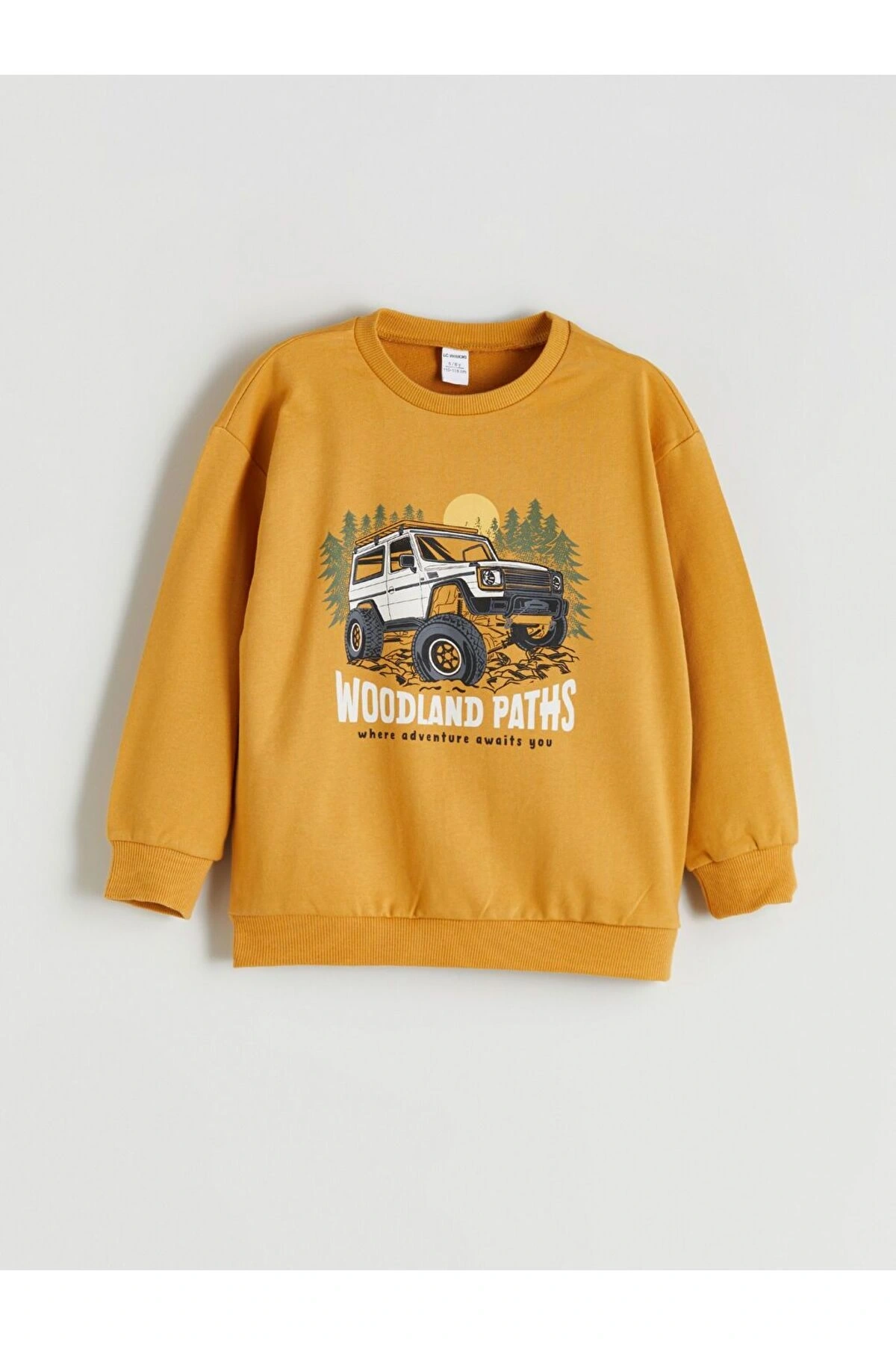 LCW Kids Bisiklet Yaka Baskılı Erkek Bebek Sweatshirt ve Eşofman Alt 2li