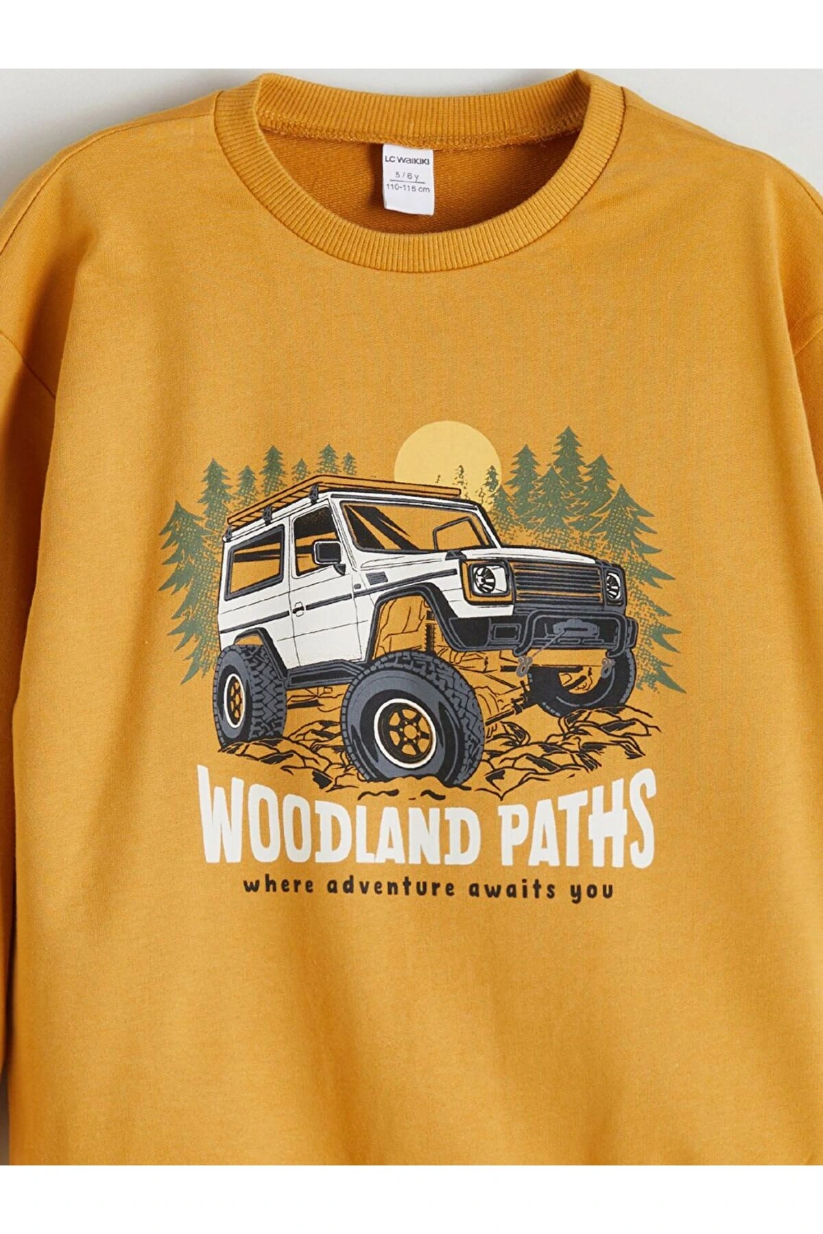 LCW Kids Bisiklet Yaka Baskılı Erkek Bebek Sweatshirt ve Eşofman Alt 2li