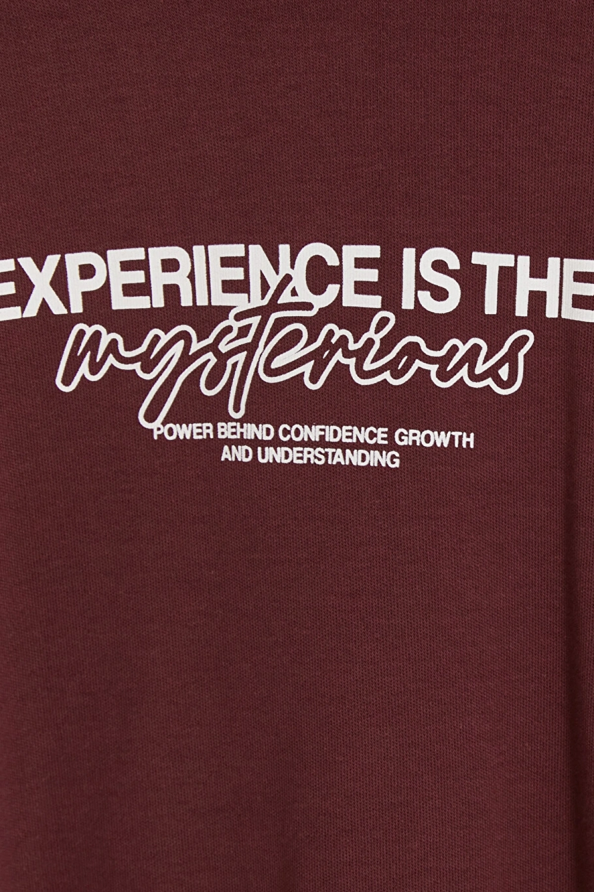 LCW Kids Bordo Baskılı Erkek Çocuk Sweatshirt