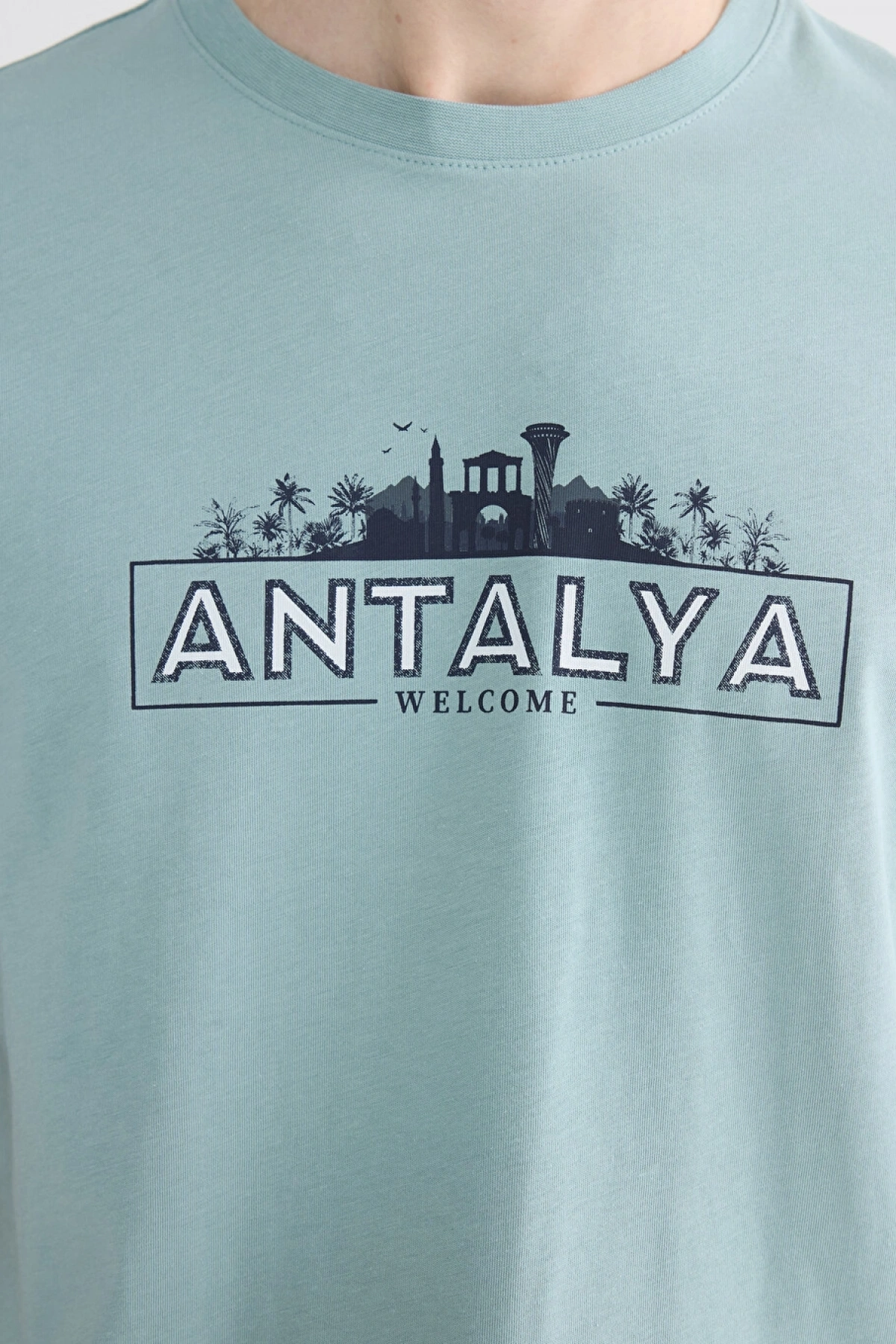 LCWAIKIKI Classic Mavi Bisiklet Yaka Antalya Baskılı Erkek Tişört