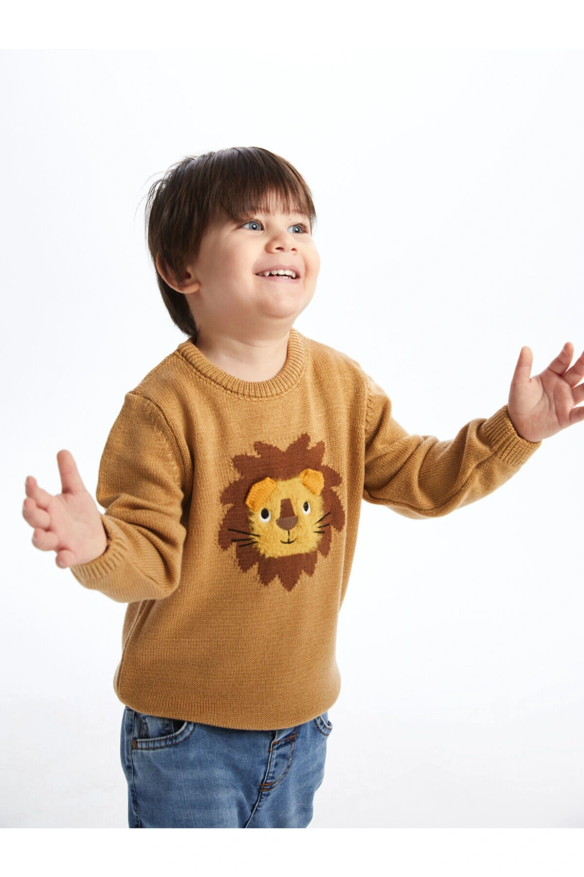 Lw - Bisiklet Yaka Uzun Kollu Desenli Erkek Bebek Triko Kazak