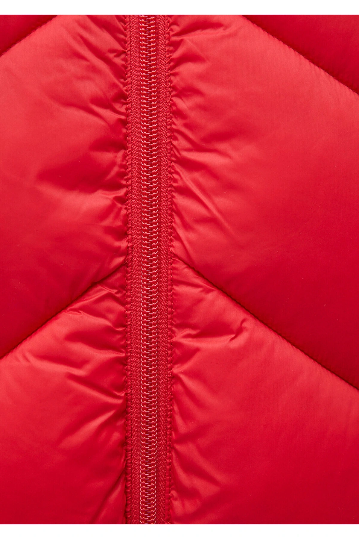 Mavi Dik Yaka Kırmızı Şişme Mont