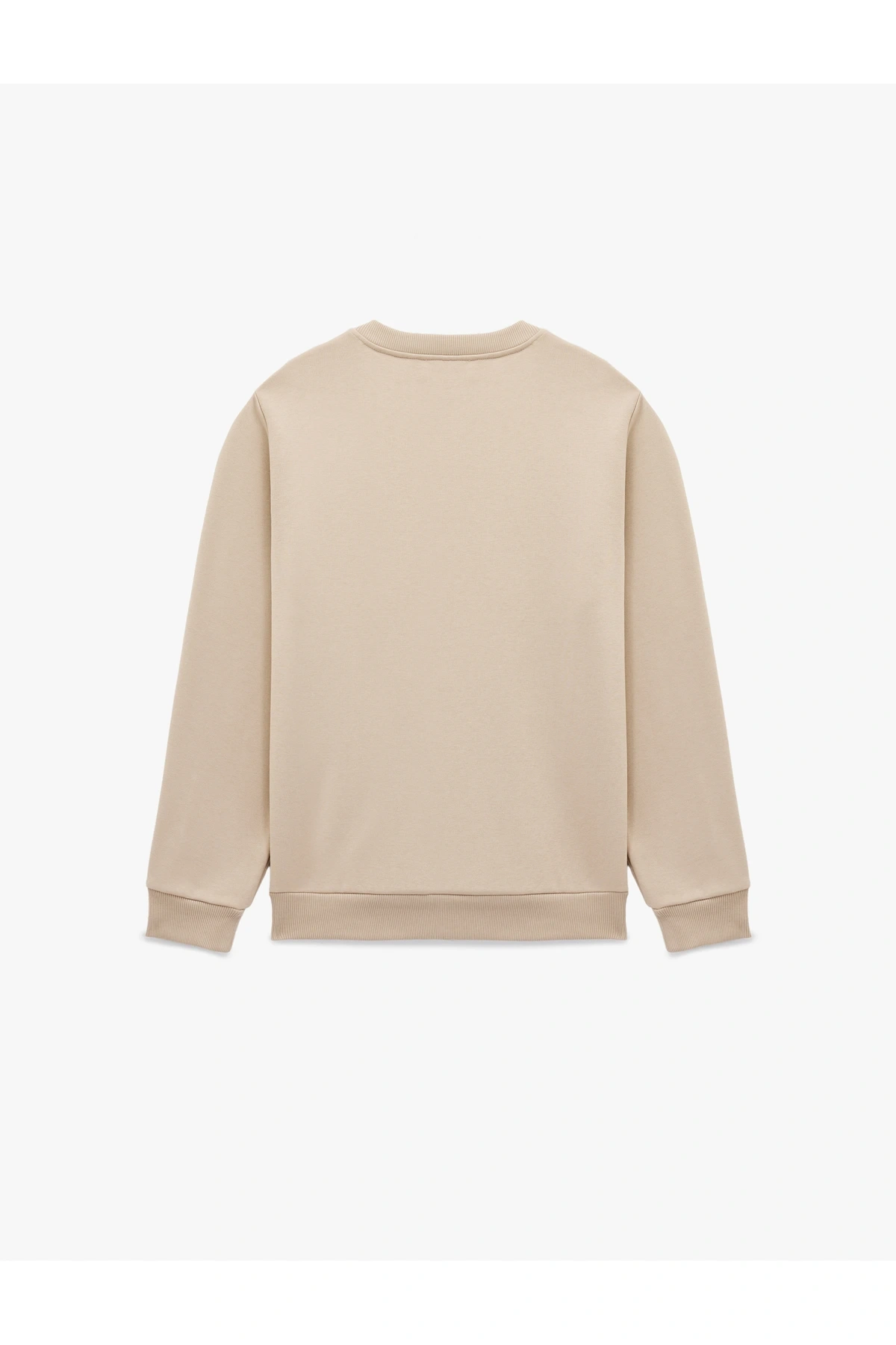 Regular Fit Uzun Kollu Şardonlu Baskılı Bisiklet Yaka Sweatshirt