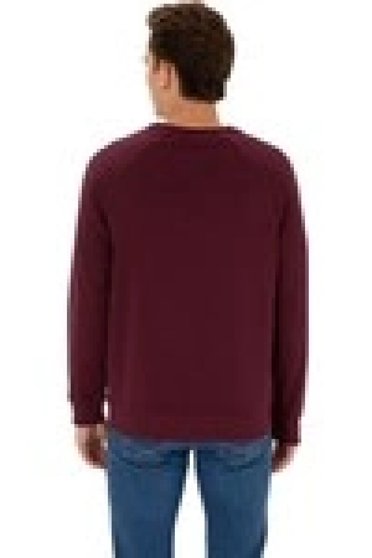 U.s. Polo Assn. Erkek Sweatshirt