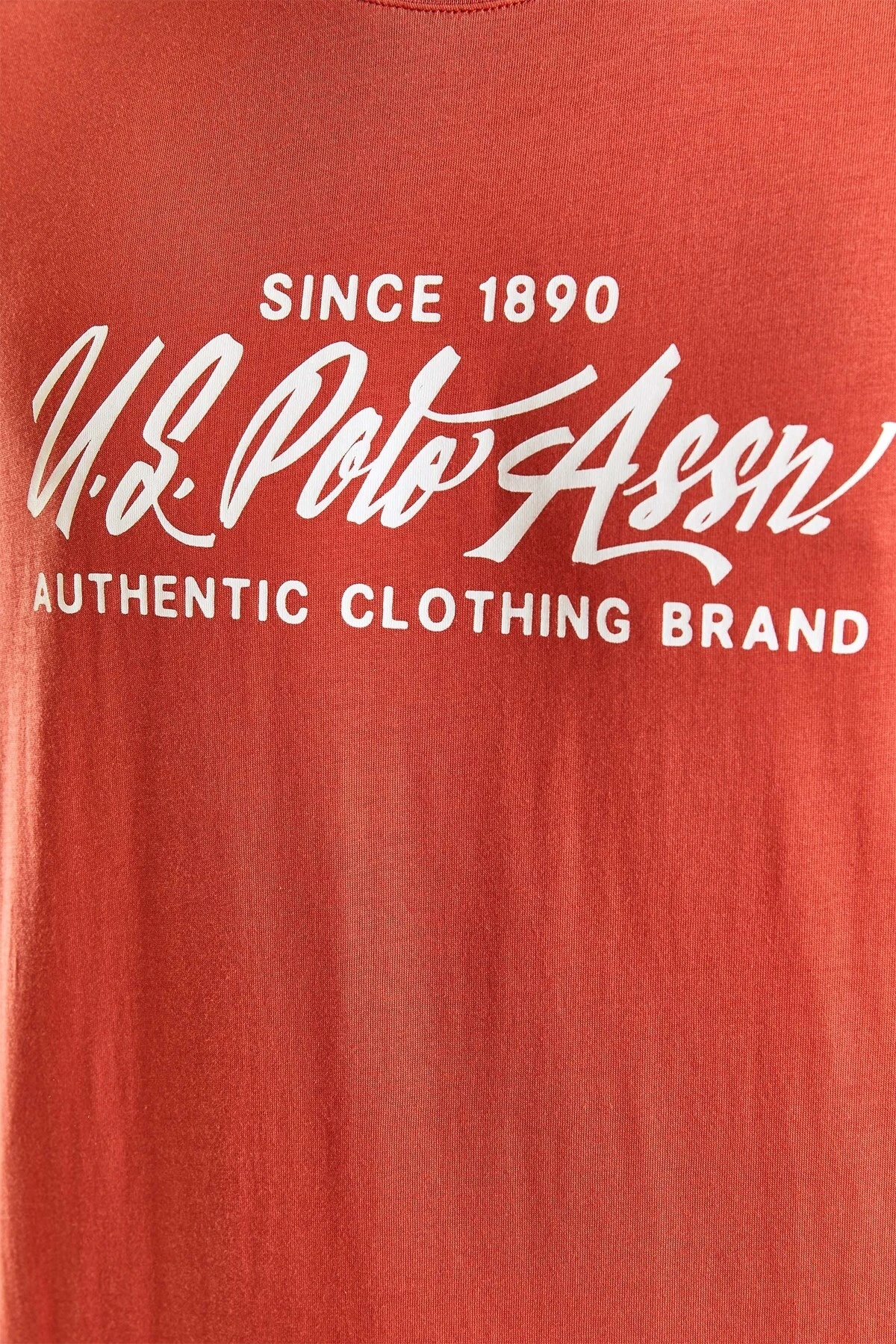 U.S. Polo Assn. Erkek Regular Tişört 50282007-VR042