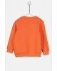 Erkek Bebek Sweatshirt Ve Eşofman
