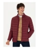 U.S. Polo Assn. Bordo Erkek Mont BONY23K