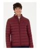 U.S. Polo Assn. Bordo Erkek Mont BONY23K