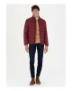 U.S. Polo Assn. Bordo Erkek Mont BONY23K