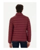 U.S. Polo Assn. Bordo Erkek Mont BONY23K