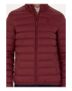 U.S. Polo Assn. Bordo Erkek Mont BONY23K