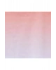 Bisiklet Yaka Baskılı Kısa Kollu Kız Çocuk Tişört