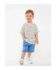 LCW baby Beli Lastikli Erkek Bebek Şort