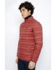 U.s. Polo Assn. Erkek Mont 50255013-vr223