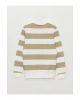 Bisiklet Yaka Uzun Kollu Çizgili Erkek Sweatshirt