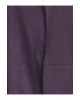 Lcwk Kapüşonlu Basic Uzun Kollu Erkek Bebek Fermuarlı Sweatshirt