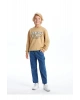 Lcw Bisiklet Yaka Baskılı Uzun Kollu Erkek Çocuk Sweatshirt