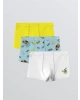 CW Kids Mavi Baskılı Erkek Çocuk Boxer 3lü
