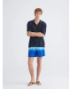 LCW SWIMWEAR Lacivert Kısa Boy Desenli Erkek Deniz Şortu