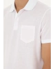 U.S.POLO Erkek Regular Fit Polo Yaka Pembe Tişört