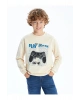 Bisiklet Yaka Erkek Çocuk Sweatshirt