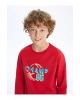 Bisiklet Yaka Erkek Çocuk Sweatshirt