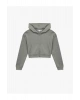 Fermuarlı Kapüşonlu Crop Gri Kadın Sweatshirt 6WAL10483IK