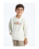 Kapüşonlu Baskılı Erkek Bebek Sweatshirt