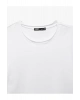 Kısa Kollu Bisiklet Yaka Pamuklu Erkek Slim Fit Tişört