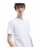 Kısa Kollu V Yaka Pamuklu Basic Erkek Slim Fit Tişört