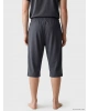 LC WAIKIKI Gri Regular Fit Erkek Şort