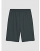 LC WAIKIKI Gri Regular Fit Erkek Şort