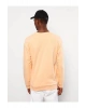 LCW Casual Mercan Bisiklet Yaka Uzun Kollu Baskılı Erkek Sweatshirt