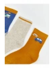 LCW Kids Araba Baskılı Erkek Çocuk Soket Çorap 5li (W5)