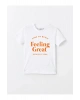 LCW Kids Bisiklet Yaka Erkek Çocuk Tişört ve Bermuda