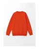 LCW Kids Turuncu Bisiklet Yaka Erkek Çocuk Sweatshirt