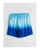 LCW SWIMWEAR Lacivert Kısa Boy Desenli Erkek Deniz Şortu