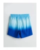 LCW SWIMWEAR Lacivert Kısa Boy Desenli Erkek Deniz Şortu