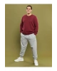LCWAIKIKI Basic Büyük Beden Bisiklet Yaka Uzun Kollu Basic Erkek Sweatshirt