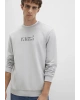 Mavi Baskılı Gri Sweatshirt