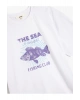 Pamuklu Kısa Kollu Bisiklet Yaka Beyaz Kadın T-Shirt 5SAK50128EK