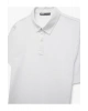 Pamuklu Regular Fit Kısa Kollu Polo Yaka Tişört