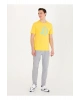 T-shirt, Xs, Koyu Sarı