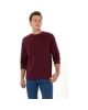 U.s. Polo Assn. Erkek Sweatshirt
